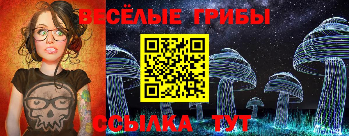 Псилоцибиновые грибы ЛСД Сальск