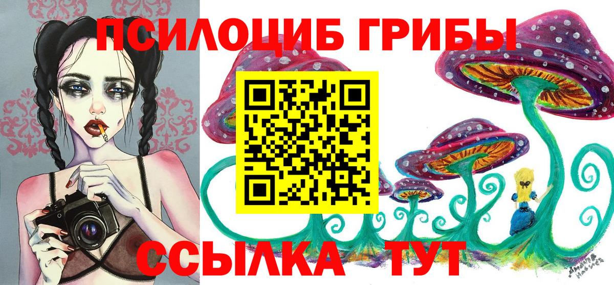Псилоцибиновые грибы мухоморы  Вход с VPN  Сальск 